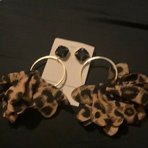 Not your average leopard